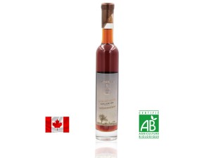 Cidra de gelo Saragnat 375 ml