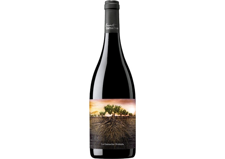 Proyecto Garnachas La Garnacha Olvidada de Aragón