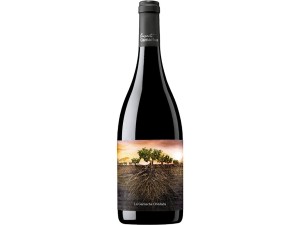 Proyecto Garnachas La Garnacha Olvidada de Aragón