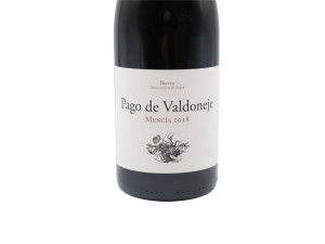 Valtuille Pago de Valdoneje