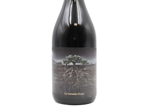 Proyecto Garnachas La Garnacha Olvidada de Aragón
