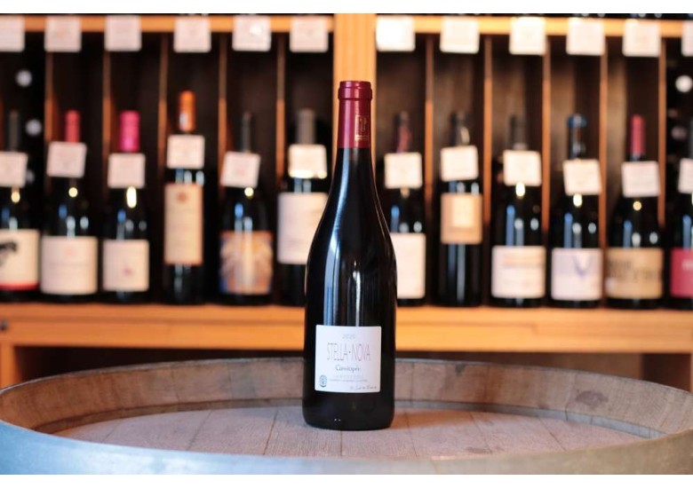 Domaine Stella Nova Cassiopée