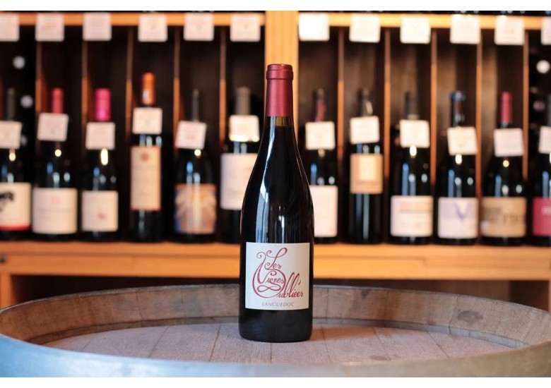Les Vignes Oubliées Autour du Cinsault