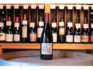 Les Vignes Oubliées Autour du Cinsault