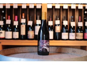 Domaine de Bon Augure Les petits Apôtres
