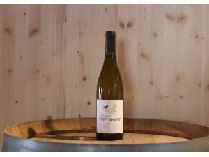 Domaine Saint Amant Borry
