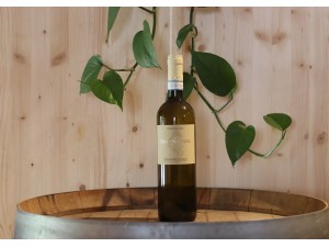 ColleStefano Verdicchio di Matelica