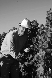 michel mas terra casa delys michel mas vigneron